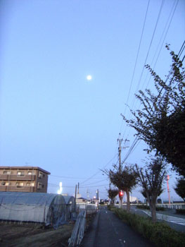 写真①朝の月