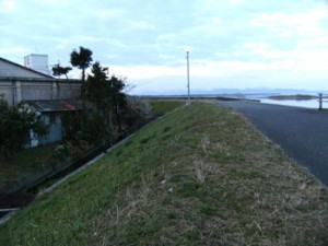 写真・早朝の土手道