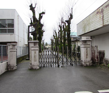 写真②人吉市立第一中学校の校門と並木