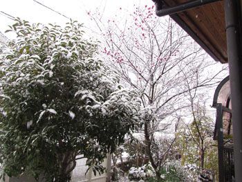 写真　雪景色
