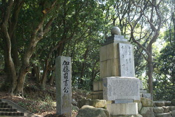 SONY DSC