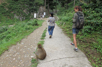 写真③山道にて