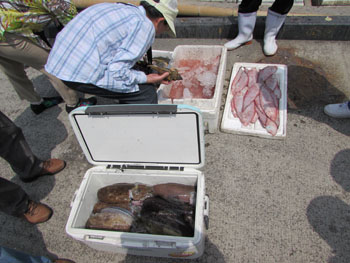 写真④獲物を分ける