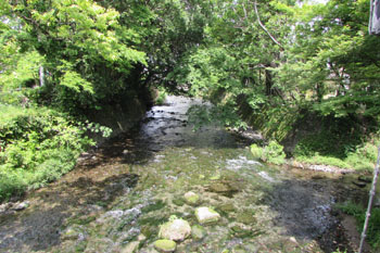 写真⑤加勢川