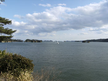 写真②松島