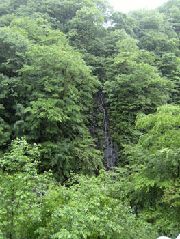 写真②山中の滝