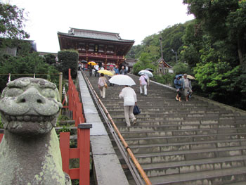 写真④雨の鶴岡八幡宮