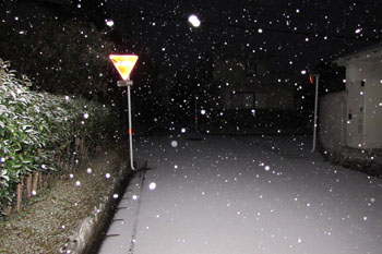 写真①いつの間にか雪が
