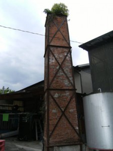 honnoaruseikatu13-1